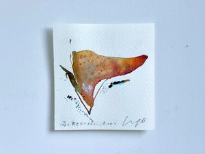 野村佳代  作品 ※額なし / s -  (2025)