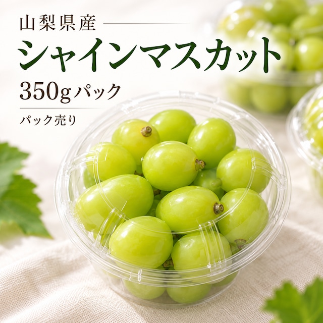 山梨県産 シャインマスカット 贈答用 3kg（5-6房）｜朝どれ産地直送