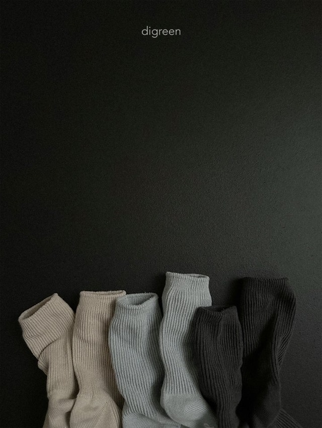 digreen25wn_Gray Socks