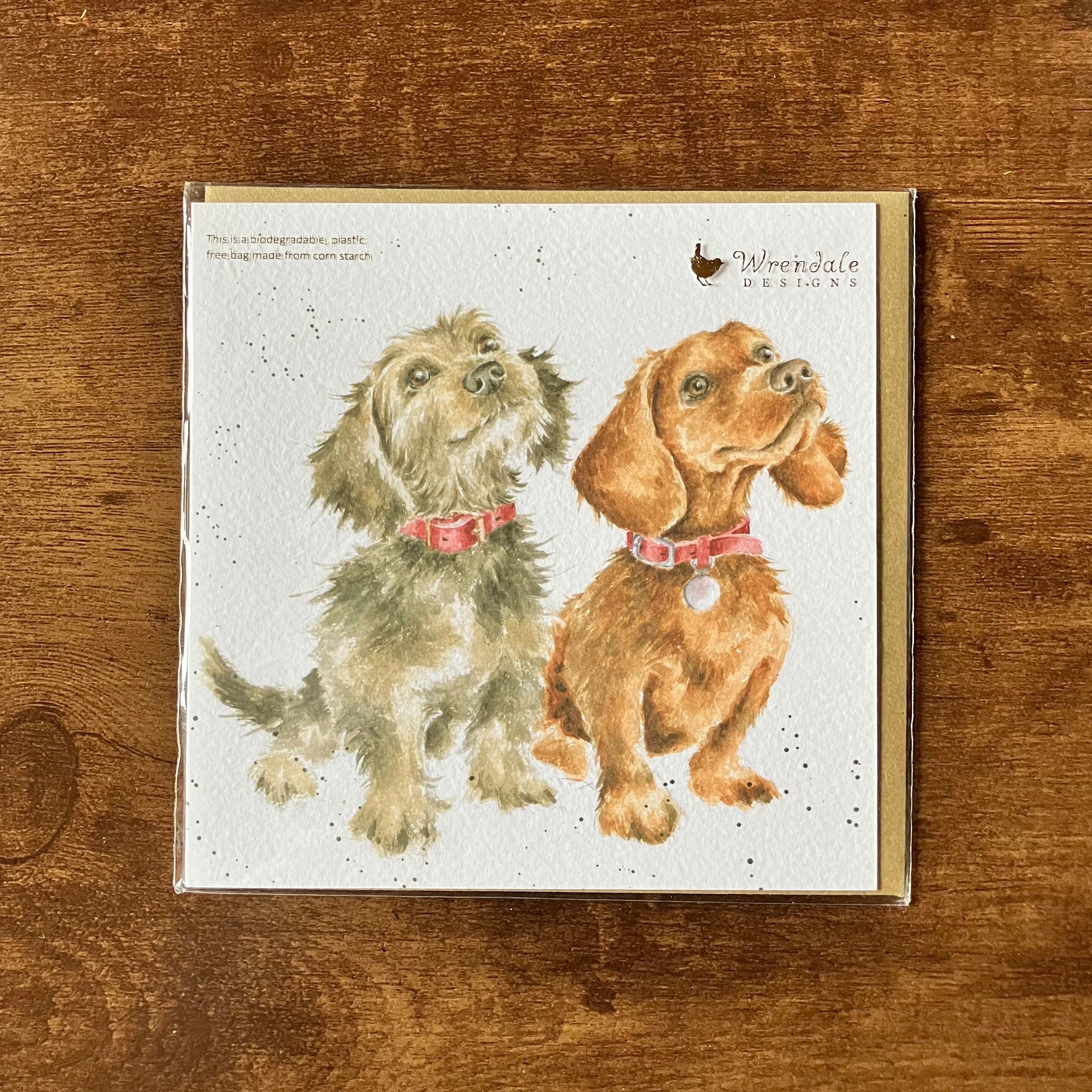 英国製グリーティングカード　ダックスフント