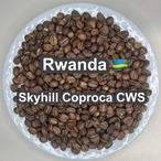 Rwanda Skyhill Coproca CWS（ルワンダ スカイヒル コプロカCWS）100g 【受注焙煎・自家焙煎コーヒー豆】【爽やかな酸味とフルーティーな香り】
