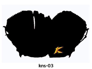 【硬式：投手用オーダー】KNS-03モデル