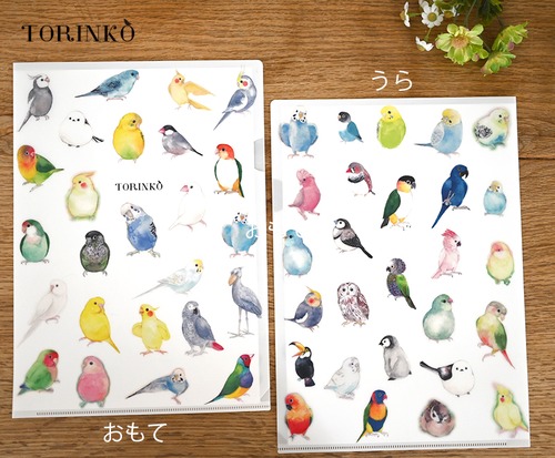 A4クリアファイル「52羽の鳥・インコ・オウムたち」TORINKO