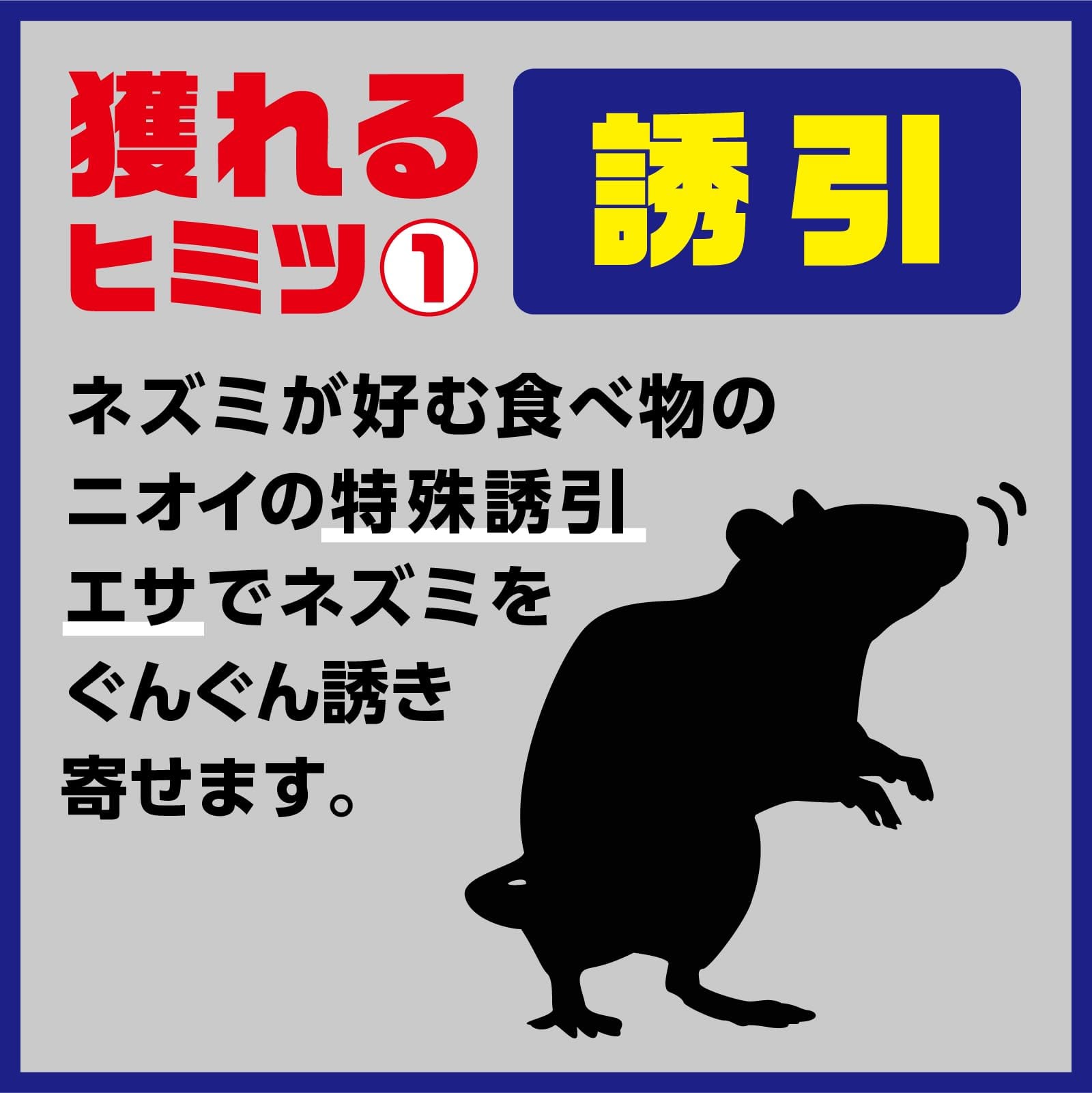アースガーデン ネズミ専用立入禁止 エサ付き粘着シート 5セット入