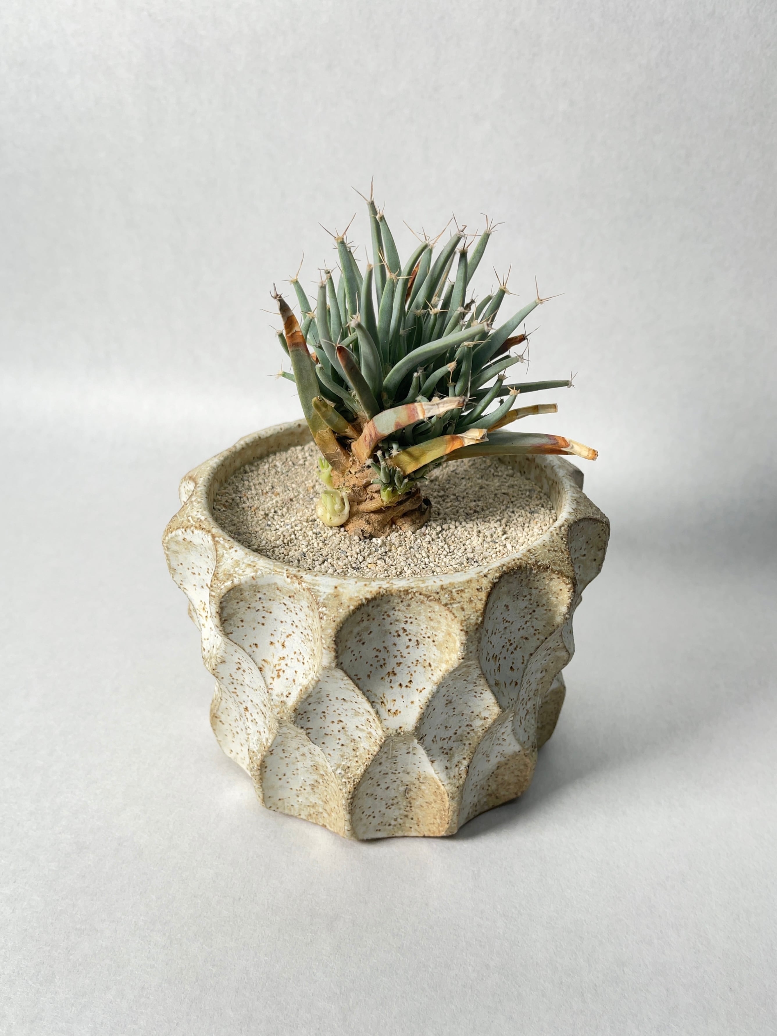 48dd9814eb4b4b9b012c903500b8d5