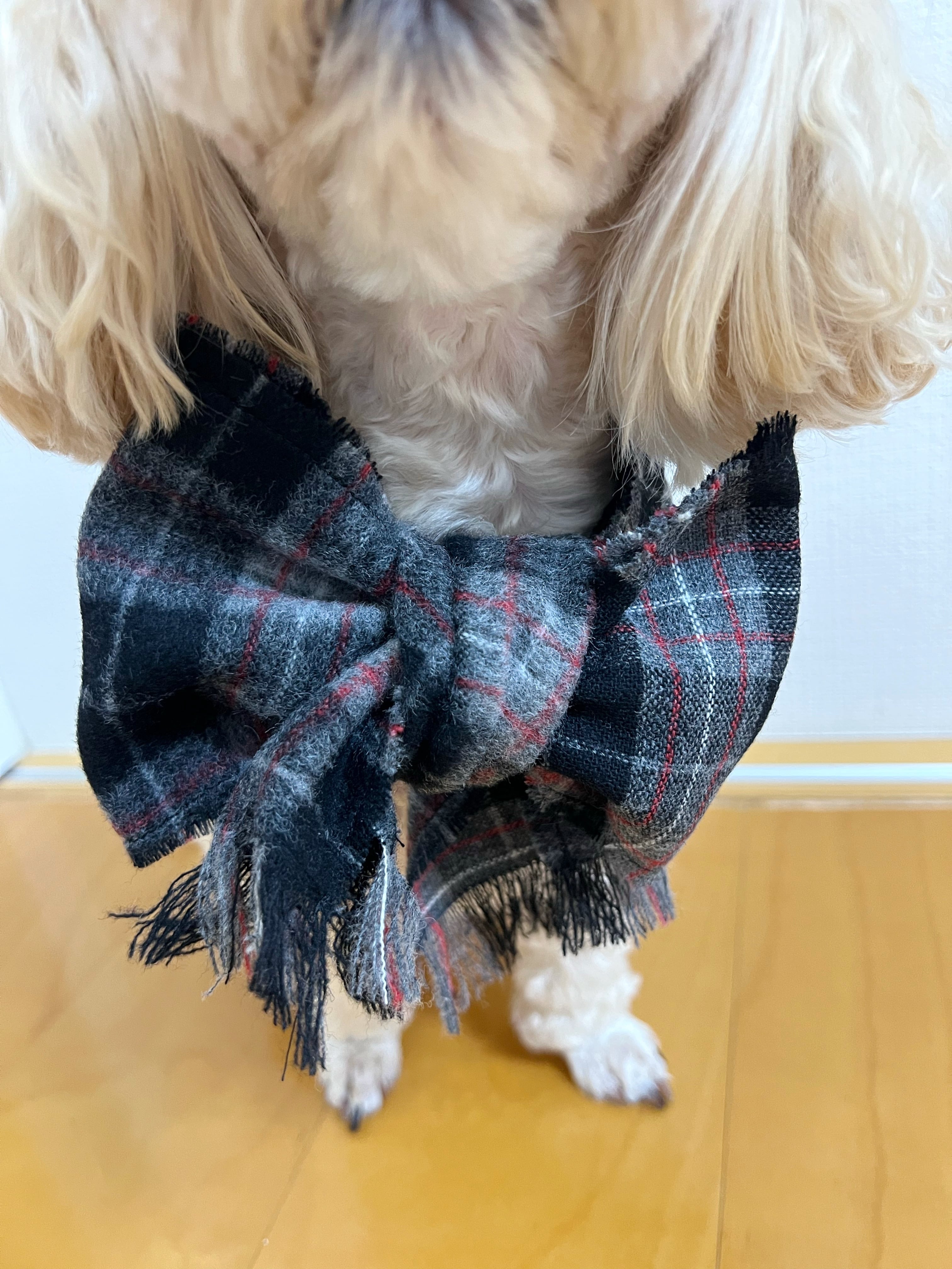 わんちゃん用 マフラー