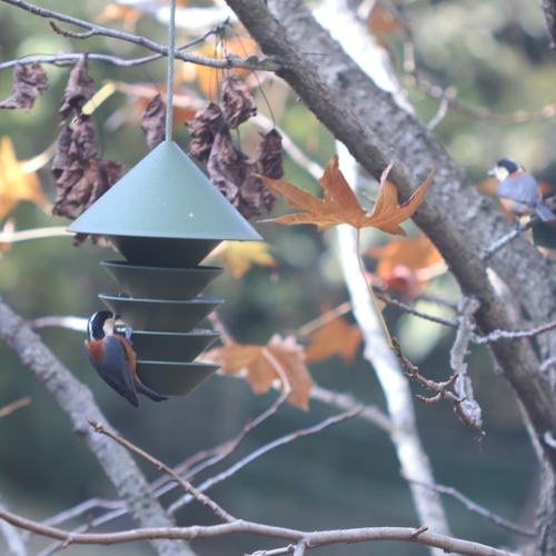 pidät  BIRD SILO（バードフィーダー・野鳥の餌台）