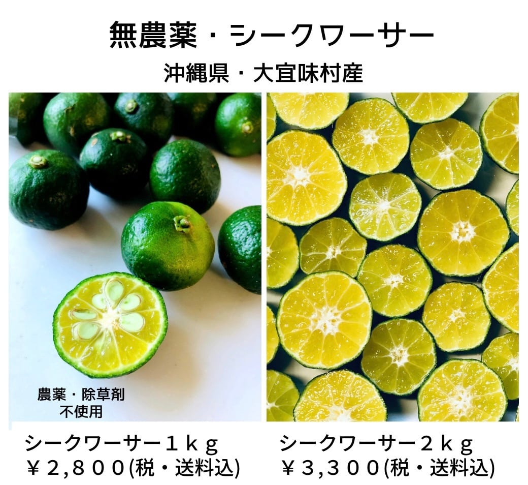 高級品市場 沖縄県産シークワーサー 農薬不使用 1キロ