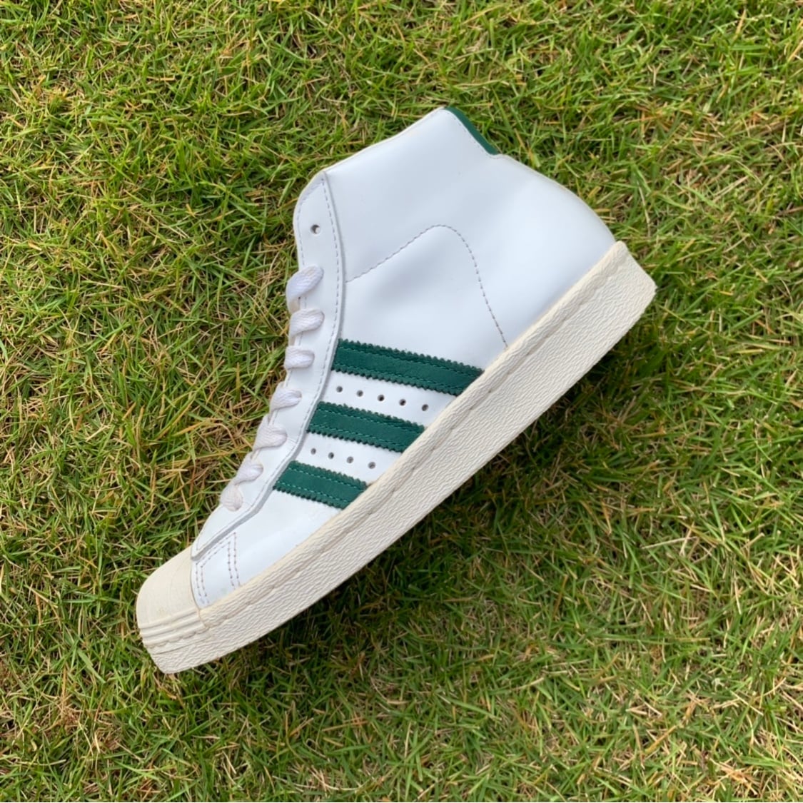 adidas PRO MODEL 80S アディダス プロモデル 80S W772 | reshoe