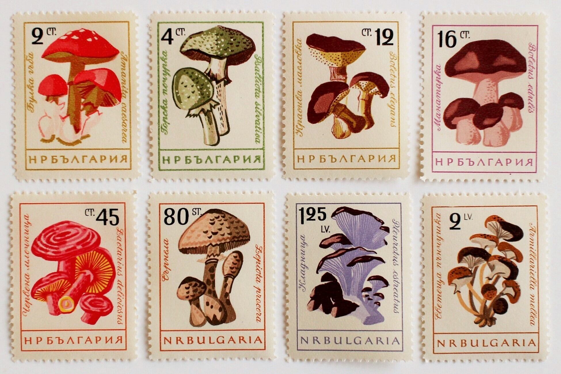 きのこ / ブルガリア 1961 | Stempel ― 旅する切手 ―