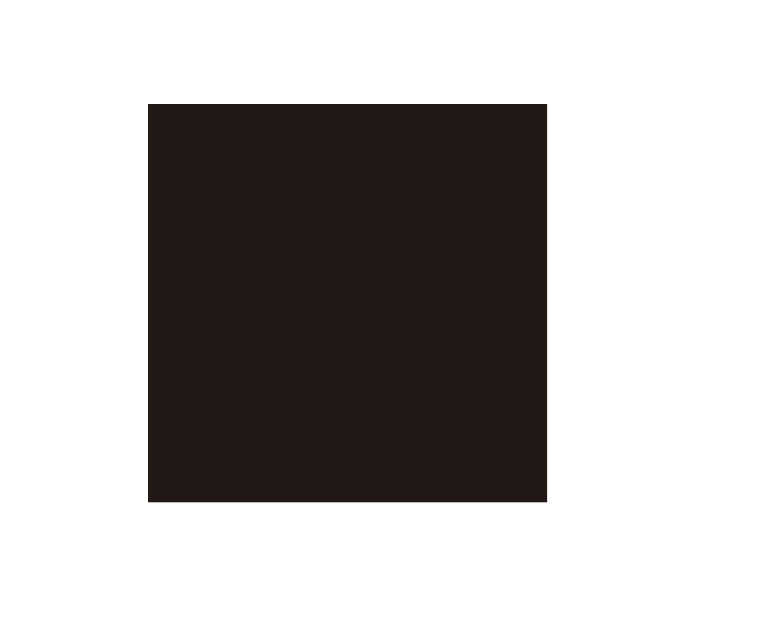 Persepolis 800 Series/KPS-P BLACK プレミアムブラック[磨](800×400角平)