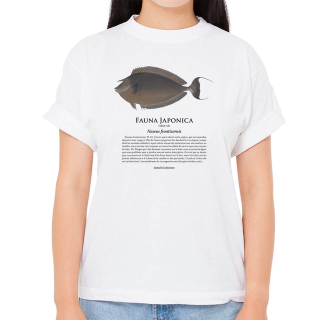 【テングハギ】シーボルトコレクション魚譜Tシャツ（高解像・昇華プリント）