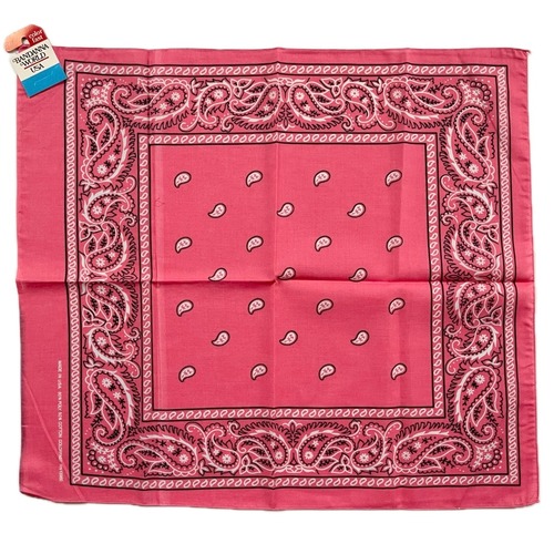 【Deadstock・irregular】70s paisley RN13960 ヴィンテージバンダナ ②