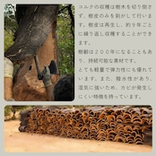 名刺入れ オリーブグリーン&ナチュラル コルク製