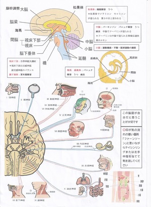 遠隔気功　電話をかけながら気を送ります　2回分（20分～30分）