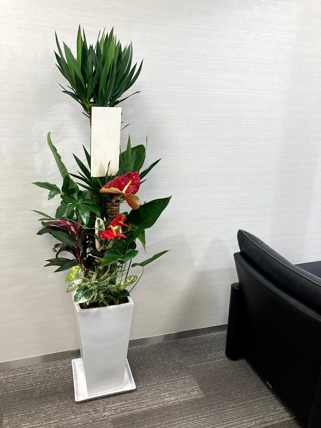 観葉植物寄せ植え陶器鉢【市内配達商品】