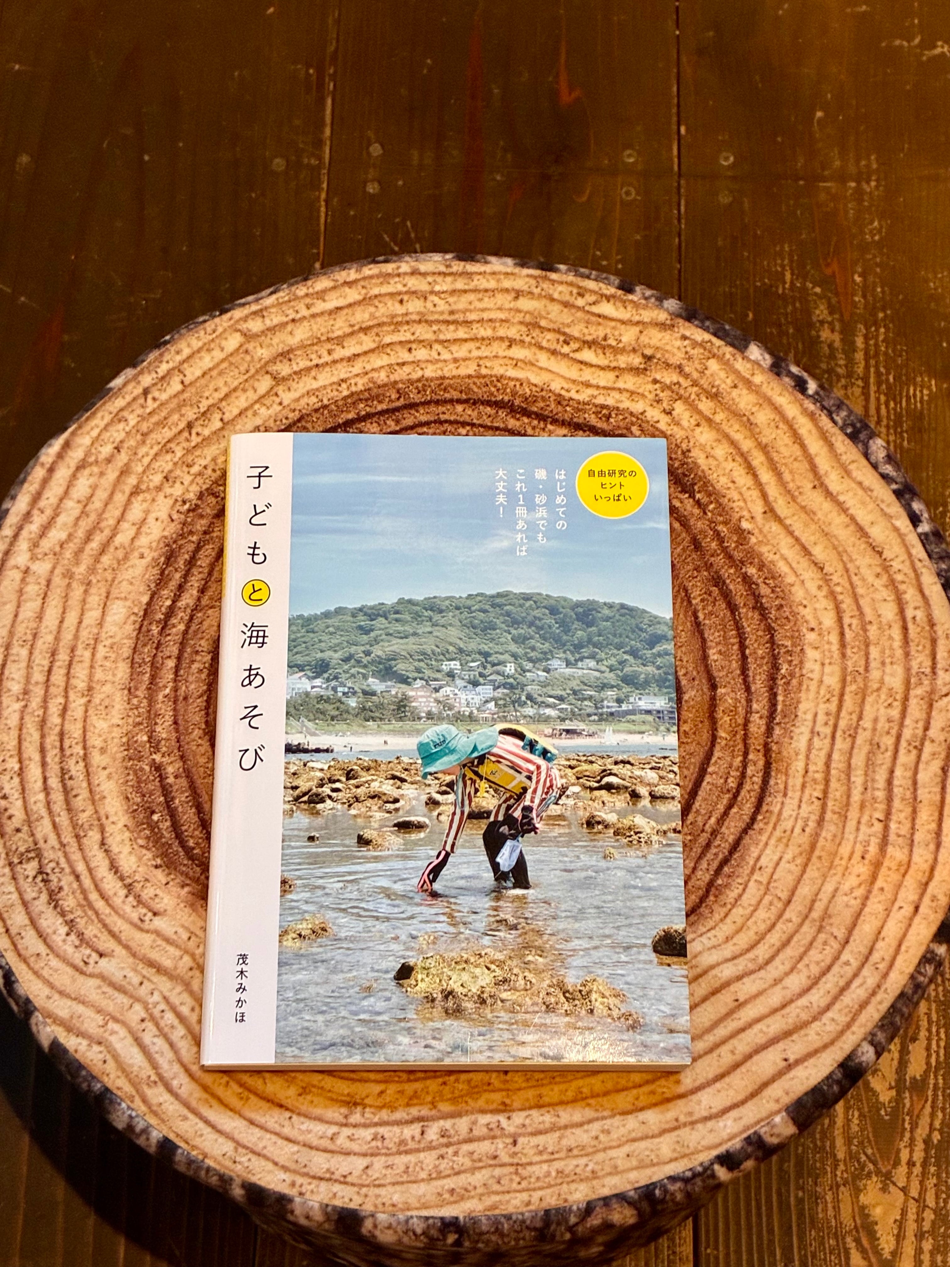 夏の約束｜海辺の子どもたち アート版画 50×100cm 夏の約束｜海辺の子どもたち アート版画 50×100cm 夏の約束｜海辺の