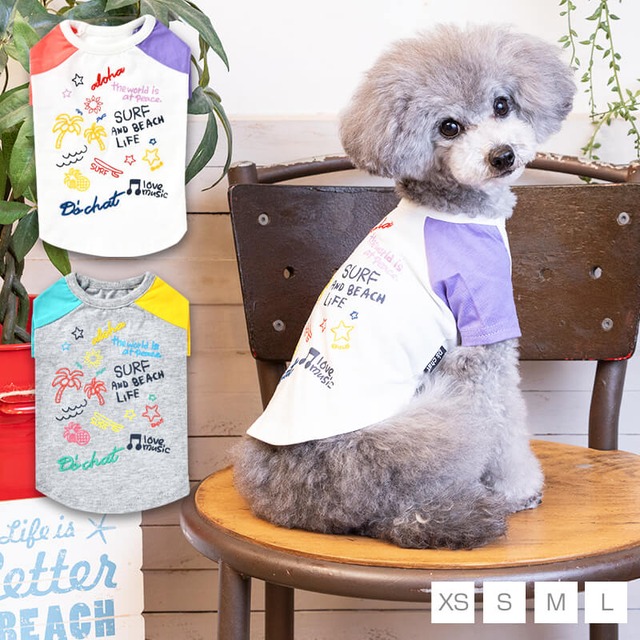 アシメポップTシャツ XS/S/M/L D's Chat-ディーズチャット- 犬服 ドッグウェア 小型犬 トイプードル チワワ ポメラニアン DS22SS ds161128-1