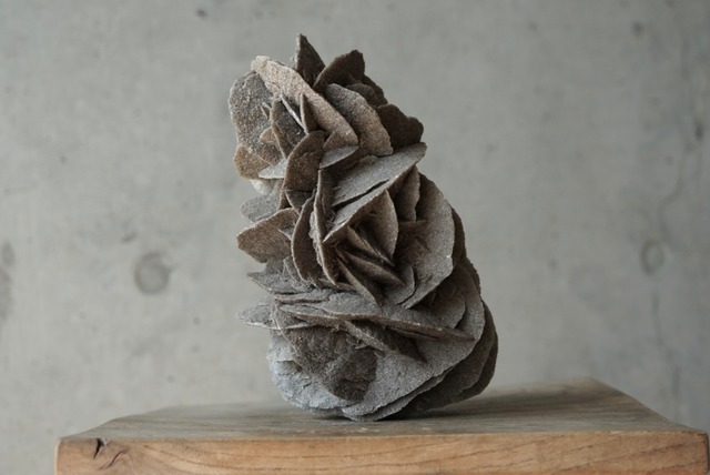 デザートローズ Desert Rose 1403