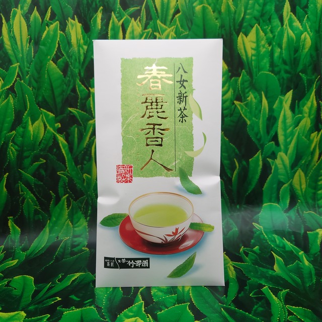 八女新茶 春麗香人（グリーン） 100g