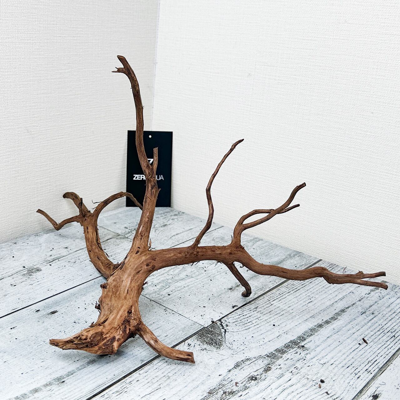 【BC001】ブランチウッド 流木 56cm 極美 アク抜き処理済み BC001】ブランチウッド 流木 56cm 極美 アク抜き処理済み BC001