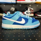Nike Dunk Low Retro QS "Argon" (2022) US9/27cm