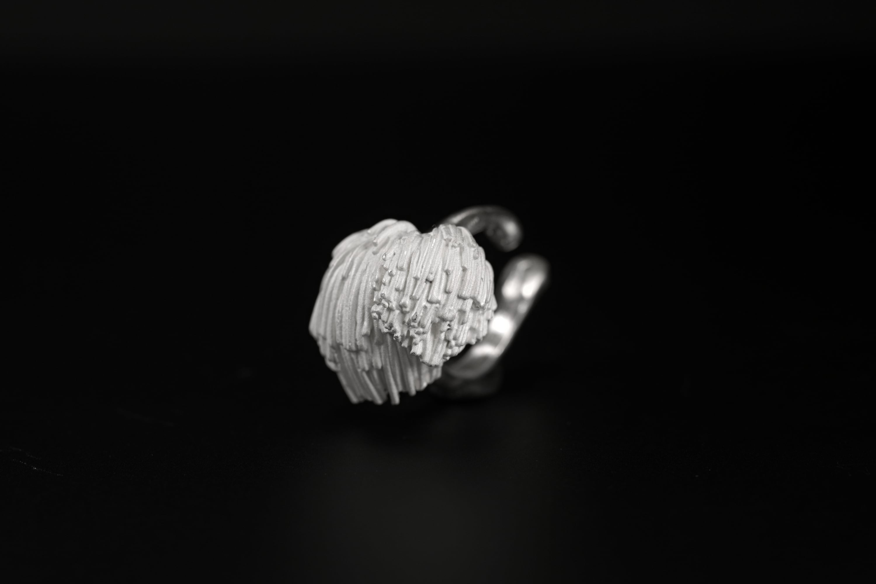 ヤマブシタケ イヤーカフ | GARAGE