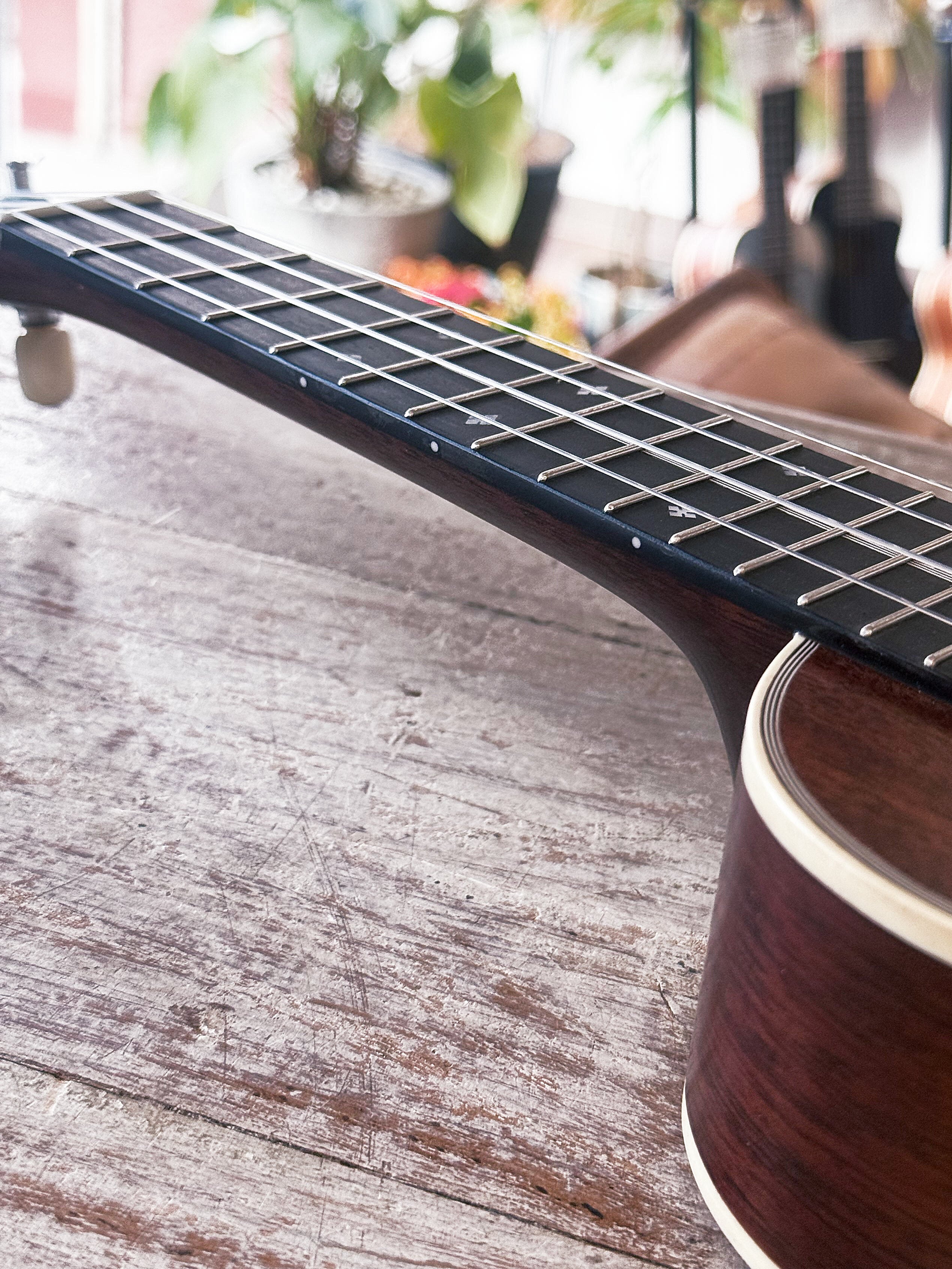 Frayns Guitars フレインズ ウクレレ FRUK-3MS #2600108 ホンジュラス