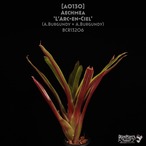 【送料無料】Aechmea ‘L'Arc-en-Ciel’〔エクメア〕現品発送A0130