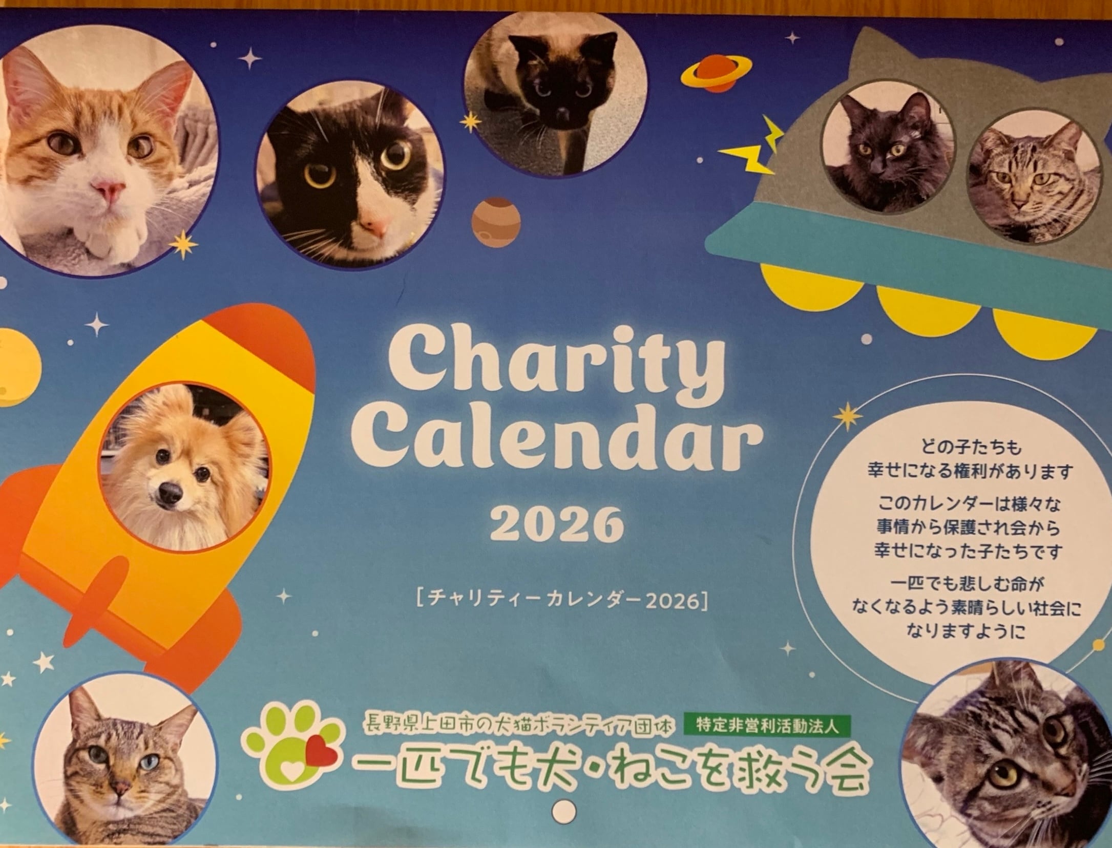 NPO法人 一匹でも犬・ねこを救う会