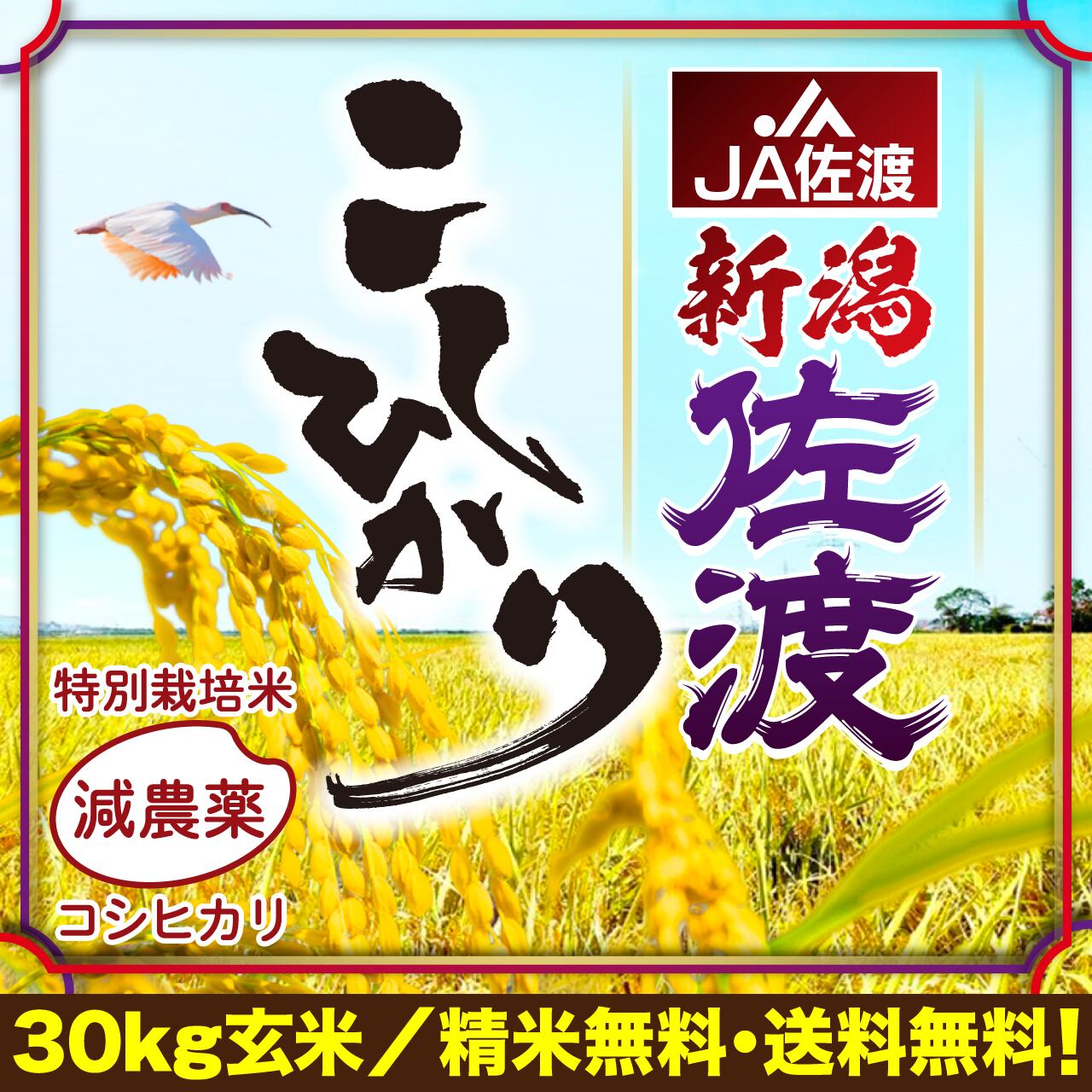 お得！！新潟県佐渡産こしひかり　米　玄米30㌔　お米-