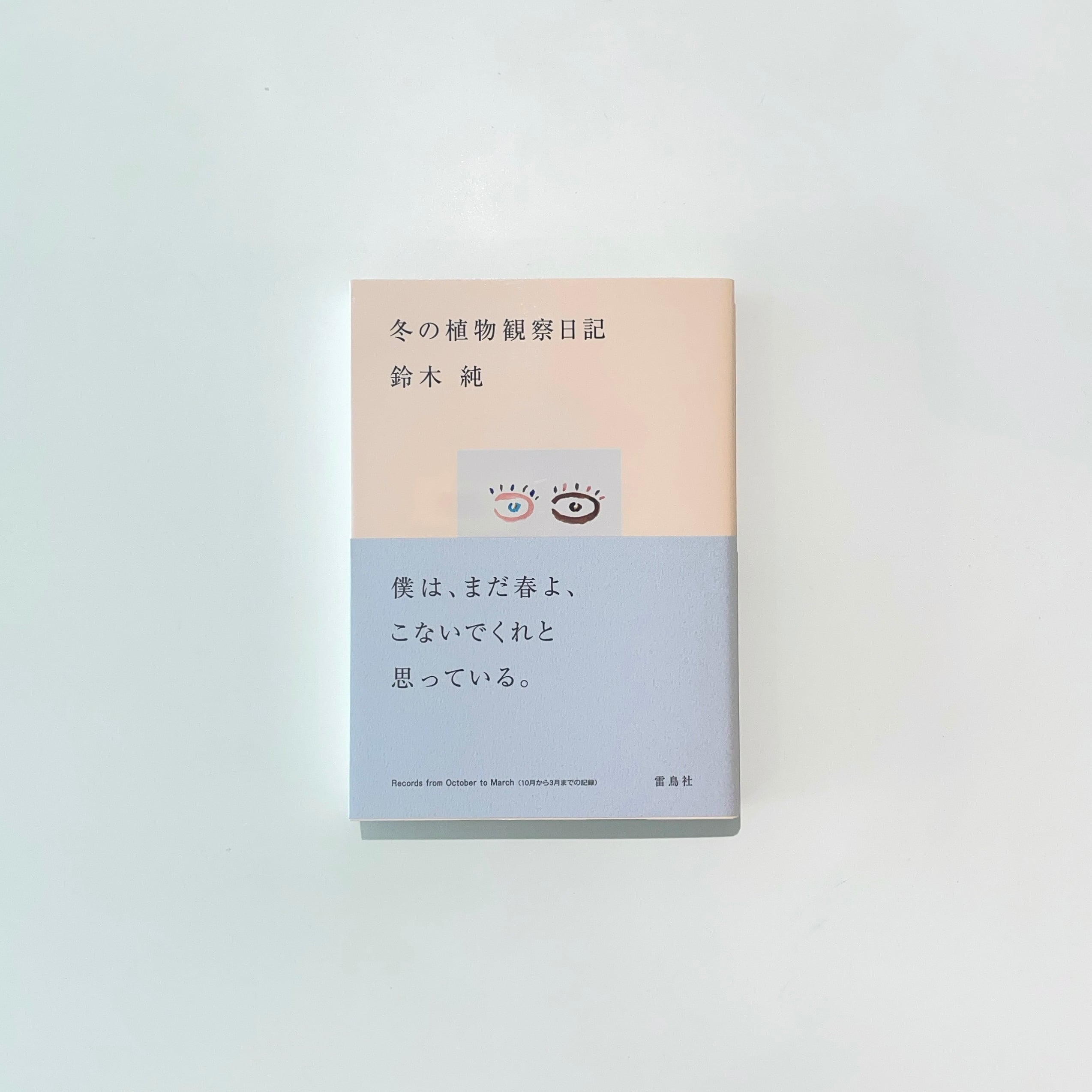 作者不詳サインmizutaniと下に記入 タイトル「女」1982年制作 銅