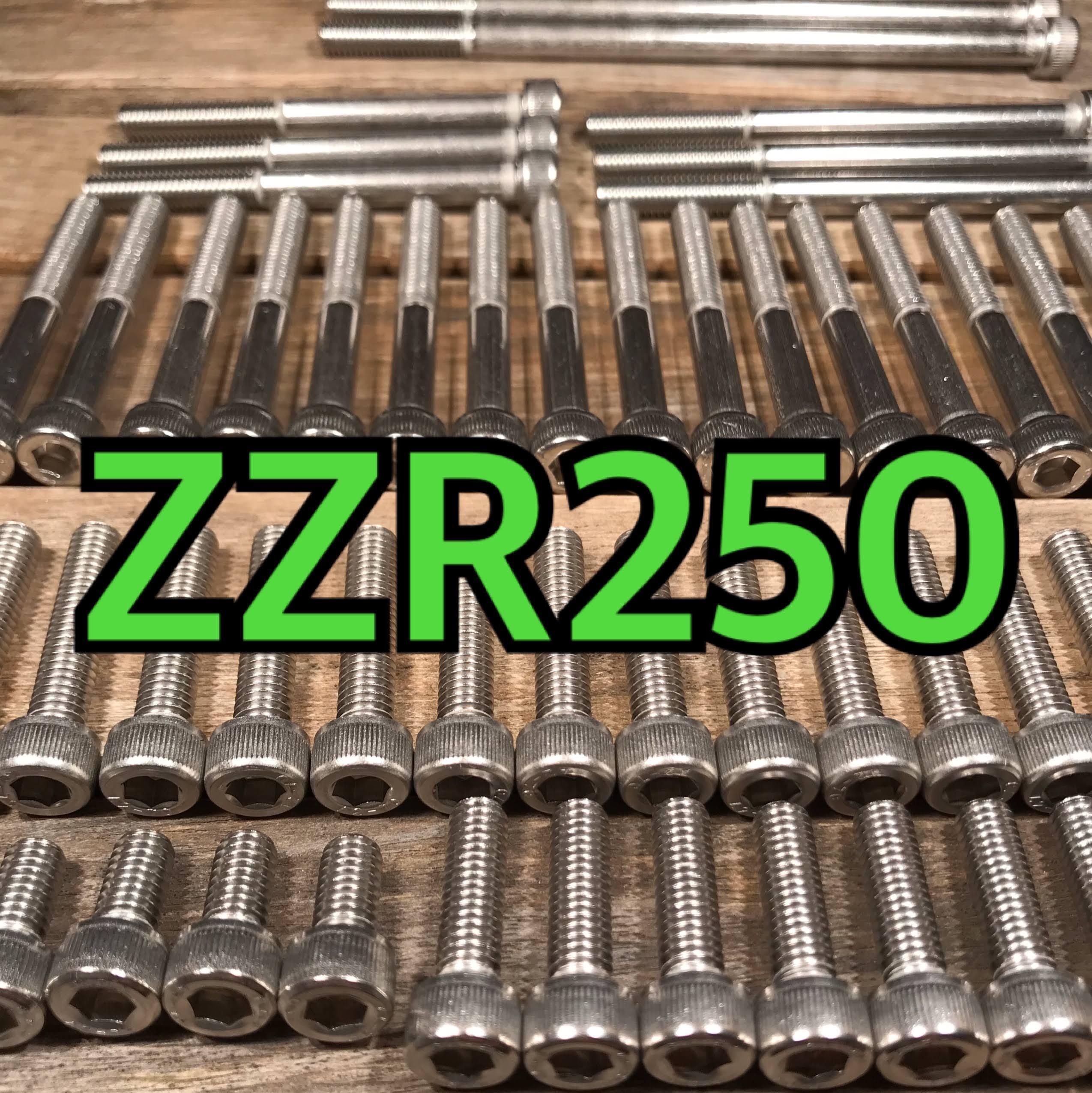 ステンレス製 ZZR250 EX250H 左右エンジンカバーボルト 合計21本 バイクのレストアパーツ ボルトNO1