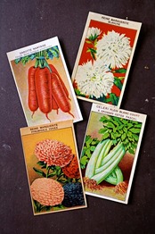 20s フランス 4set 膨満な花々と野菜たち 種子袋用ラベルi アンティーク