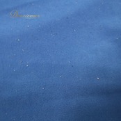 社交ダンス 衣装 トップス ブラウス ブルー系 チャコットロイヤルダンス Chacott ROYAL DANCE レッスン 練習 青 スリット袖 ビジュー リボン ドルマンスリーブ 大人っぽい 上品 おしゃれ フレア かわいい 華やか 鮮やか フェミニン お洒落 シンプル エレガント 軽やか ダンスウェア レディース スタイリッシュ