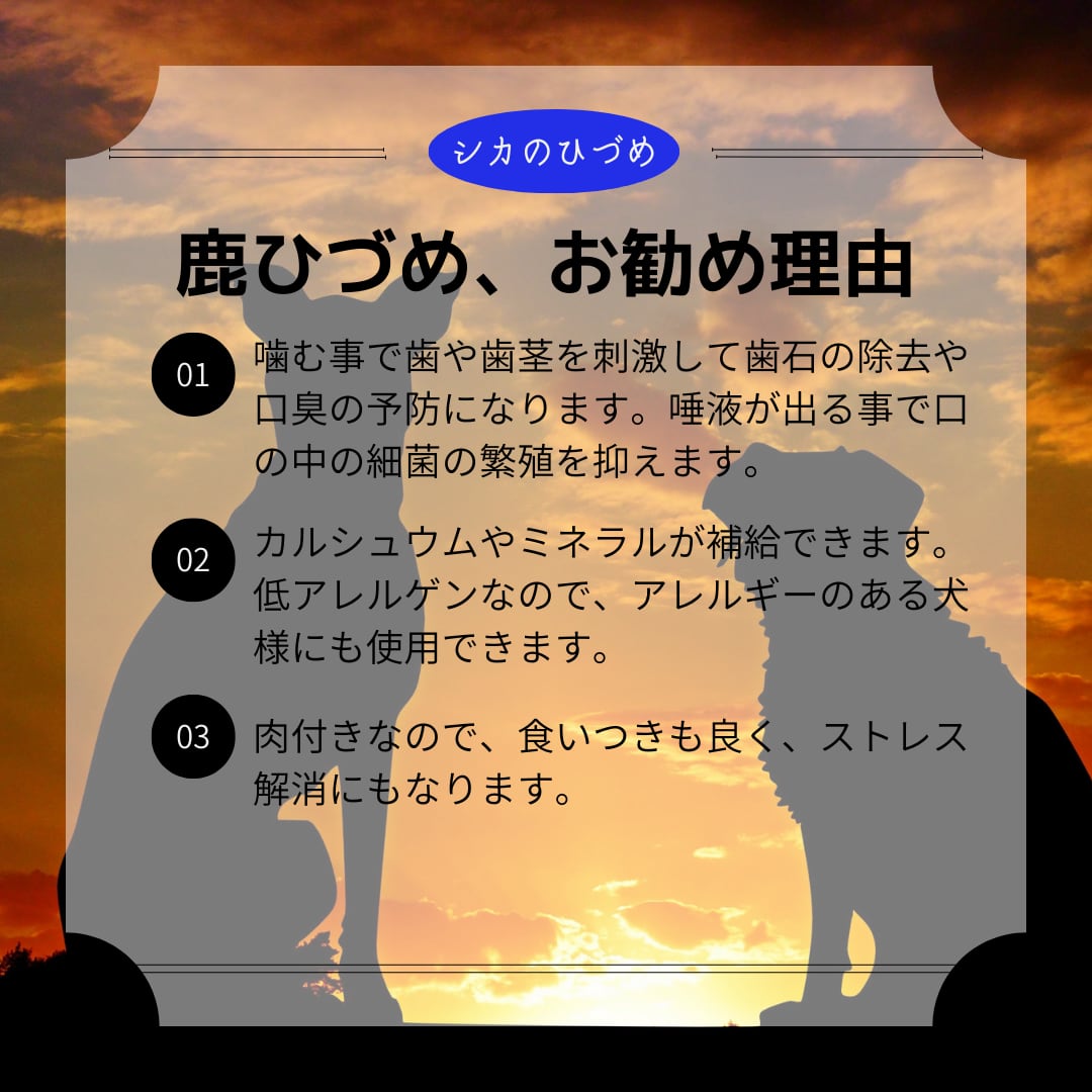 無添加おやつ　天然素材のデンタルケア　歯磨きガム　国産ドックフード デンタルチュー　鹿の爪　鹿のひづめ 犬のガム　天然素材 低アレルゲン ジビエ 犬のおやつ ドッグフード 成犬 小型犬 大型犬 2本（1本×2袋）