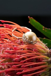 K10 South Sea Gold Pearl Ring (青海波)