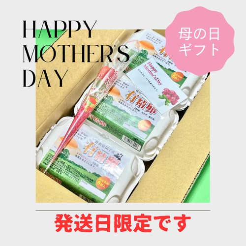 【Happy　Mother′s　Day】早割　母の日ギフト！！10％OFF【～4/30（火）までのご注文限定】平飼い有精卵　18個（6個入り×3パック）