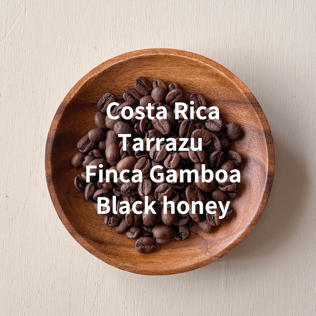 【WHOLE BEAN】 パナマ エレタ農園ティピカ [浅煎り] 200g | NIJIYA coffee シングルオリジンなどの自家焙煎コーヒー豆