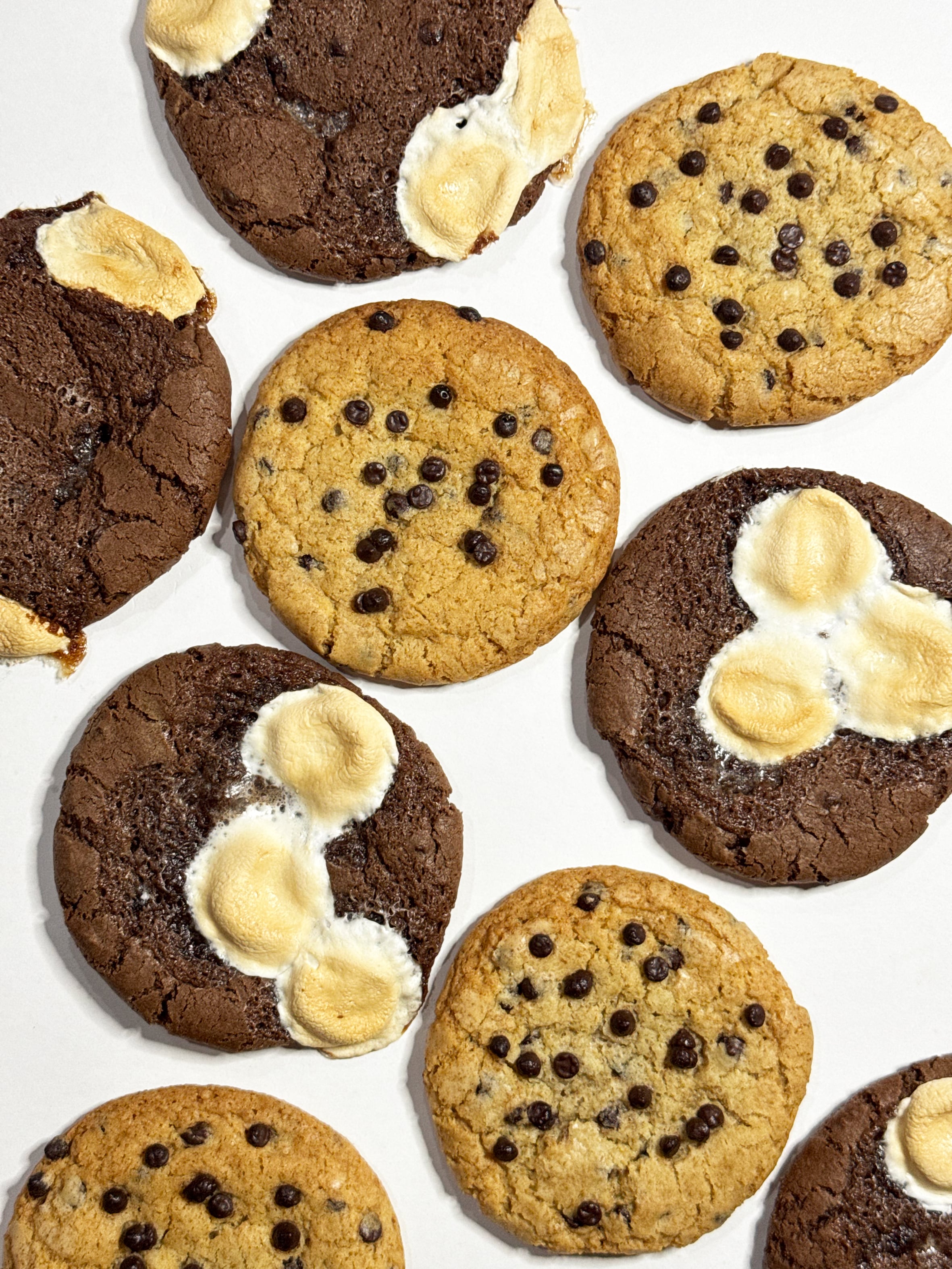 COOKIEBOY WEBSHOP