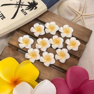 【2個】(大)カラフルプルメリアアクリルカボション/アクリル /パーツ/