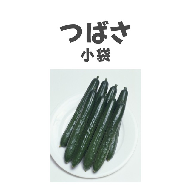 つばさ　キュウリ種子・小袋