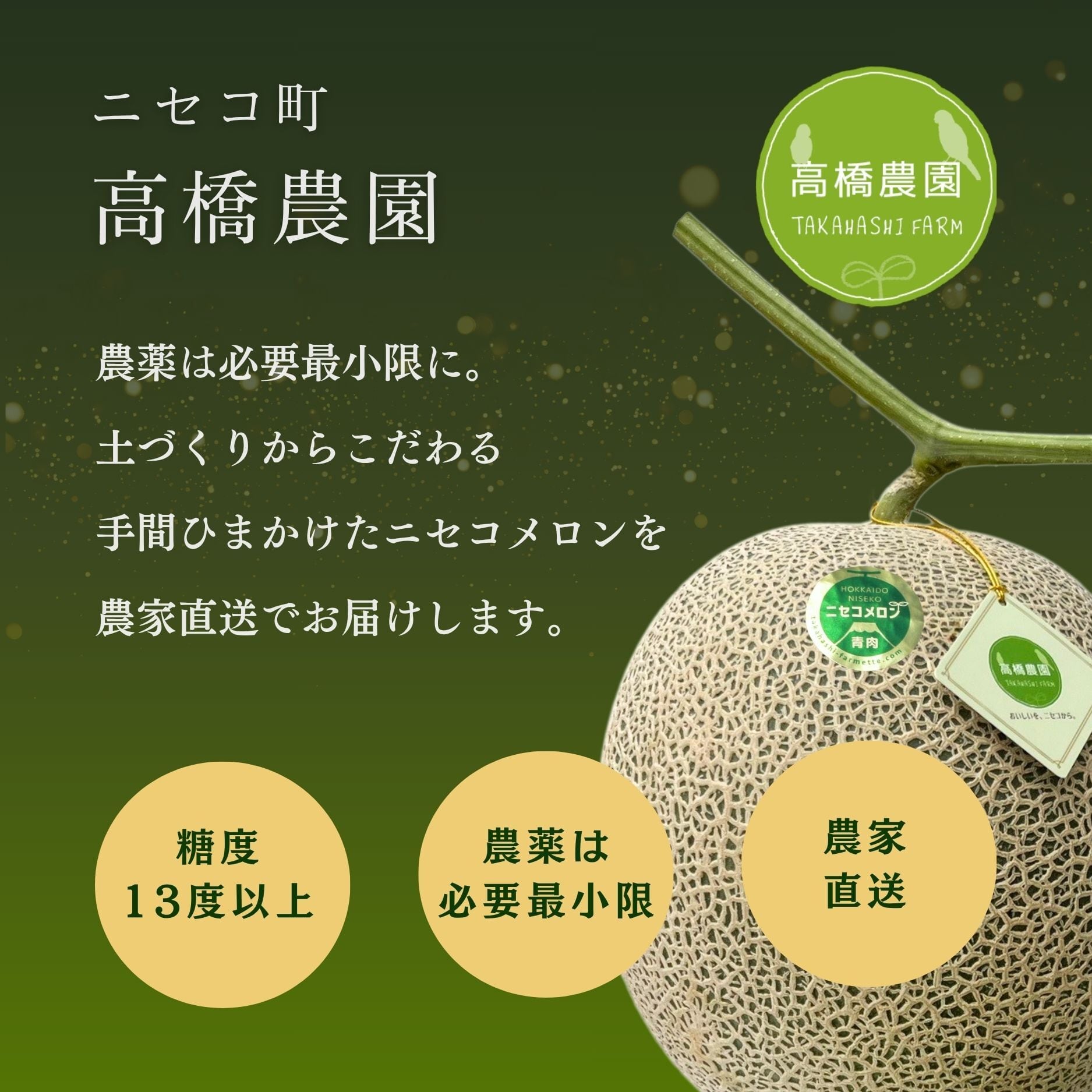 メロン4～5玉＜色指定可＞＜7月下旬～9月通常発送＞ | 北海道ニセコ町