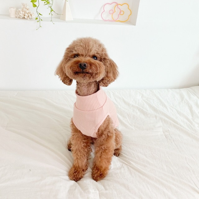 即納販売［cozyrosyday］　ノースリーブ　ハイネックインナー_ベビーピンク　韓国犬服