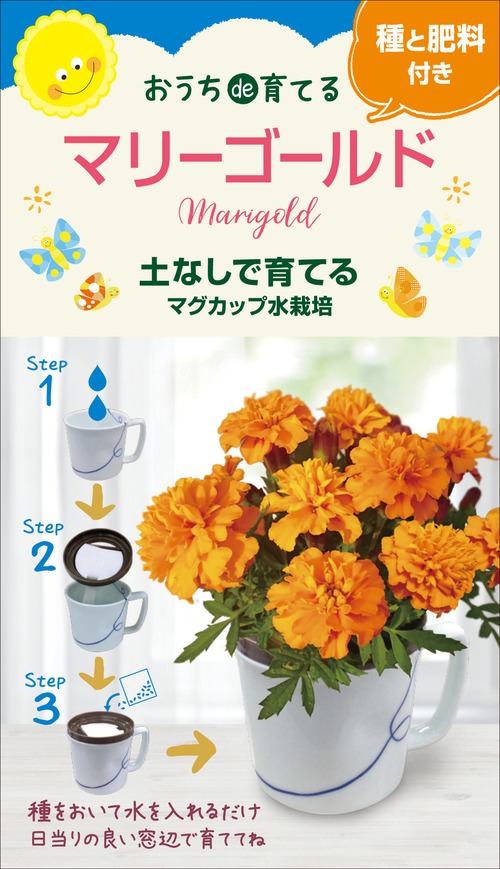 マグカップ水栽培　花シリーズ「マリーゴールド」送料込(種有効期限　2025年2月末）