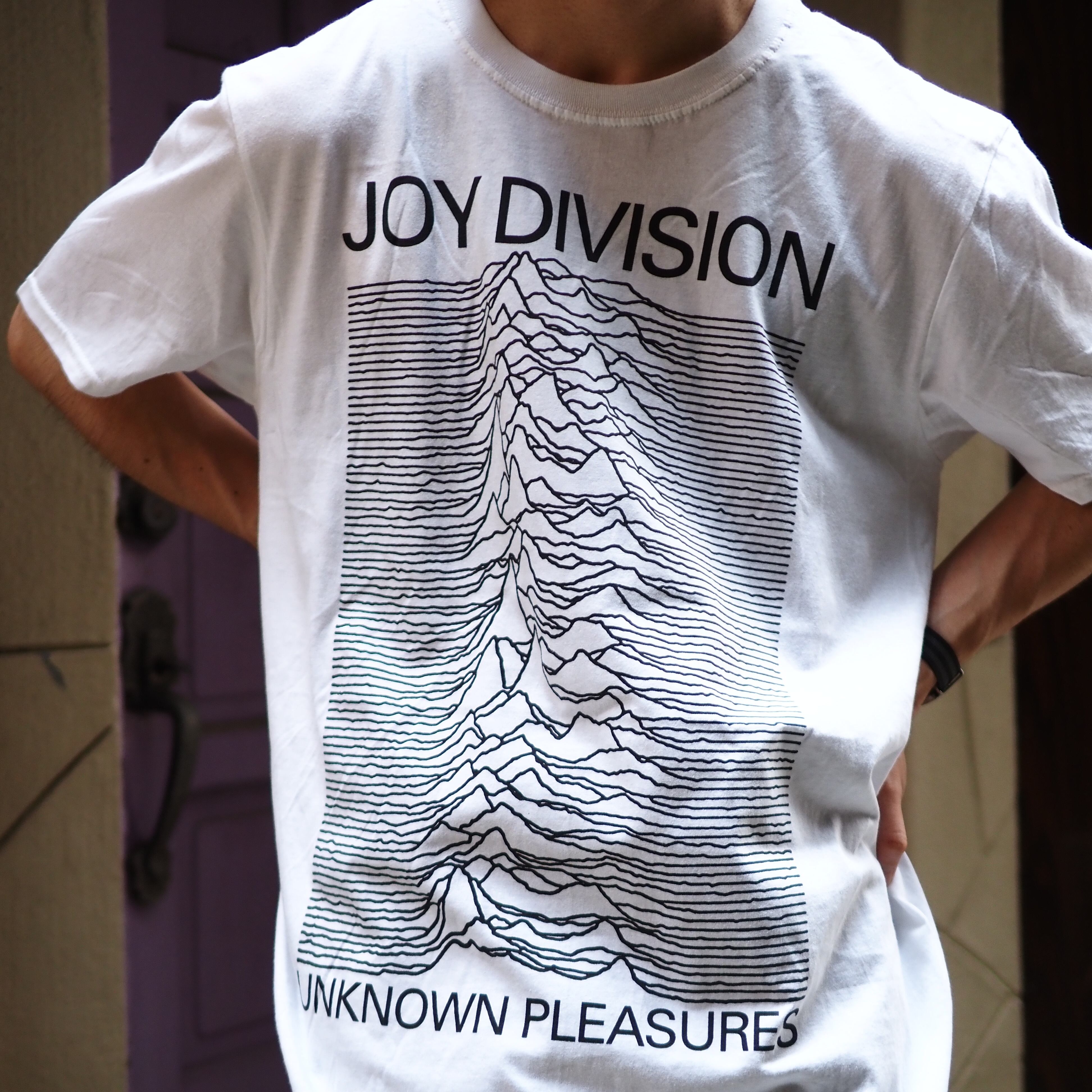 Unknown Pleasures 両面大判プリントTシャツ 着丈85