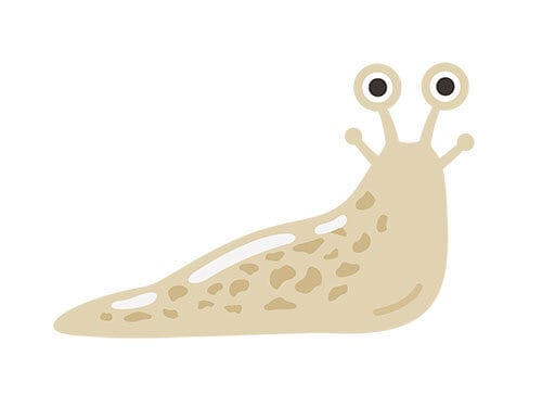 ナメクジのイラスト | イラストセンター有料素材販売