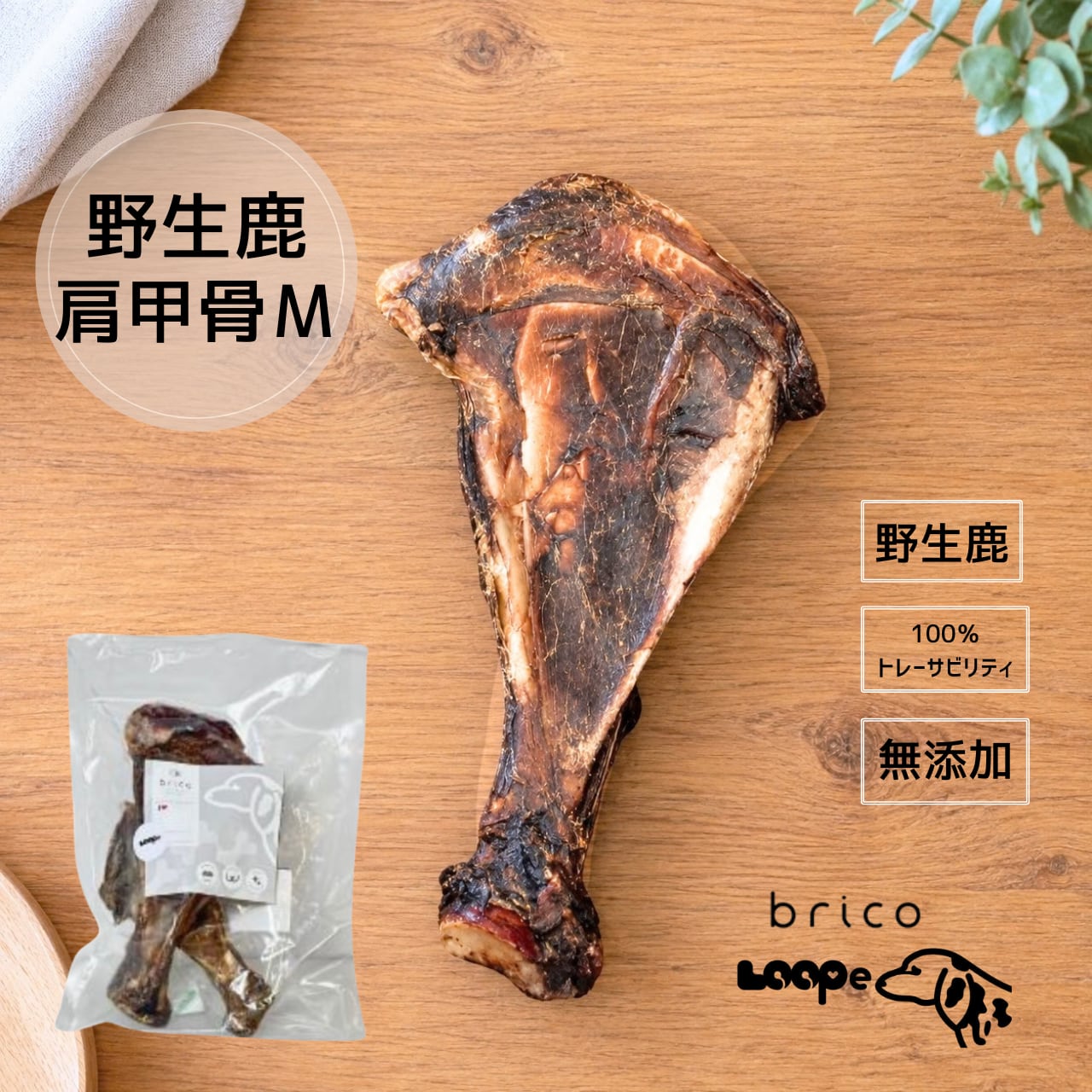 LOOPe(ループ) 肩甲骨 Mサイズ