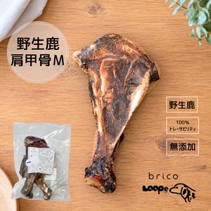 LOOPe(ループ) 肩甲骨 Mサイズ