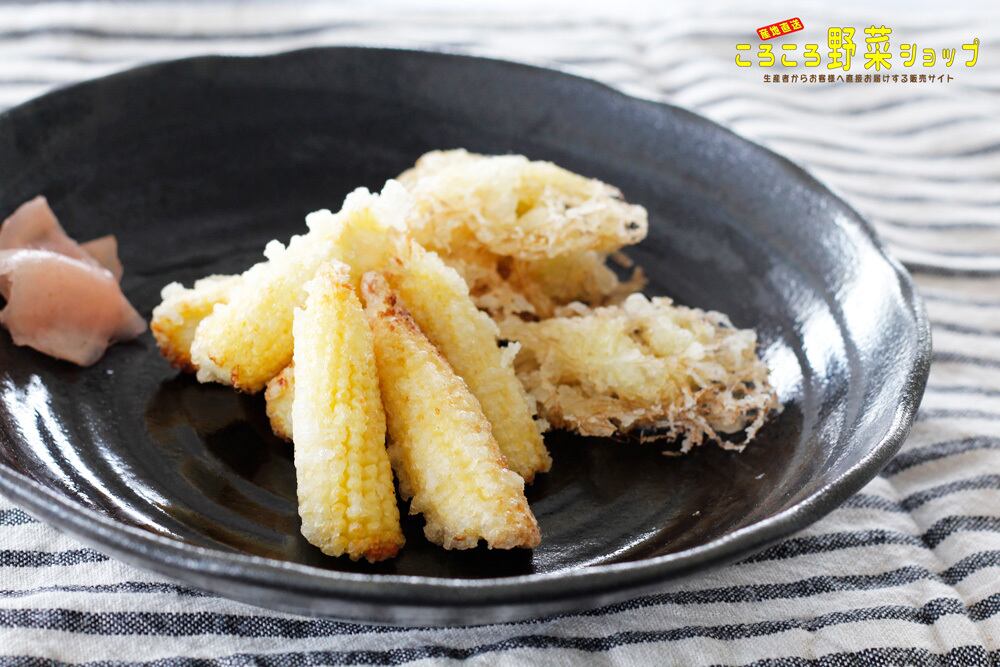 再販 送料無料50本 葉付きヤングコーン今しか食べられないとうもろこしの赤ちゃん 50本入り ころころ野菜ショップ